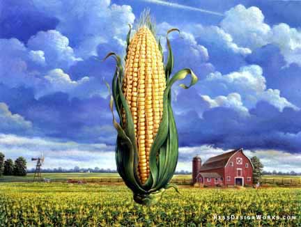 Corn farm barn clouds Stock Image