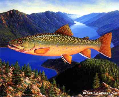 Trout fishing sport mountain stock illustration